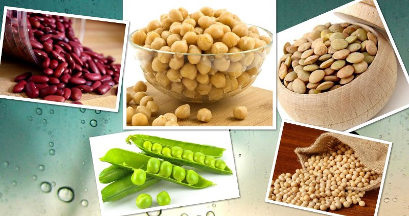 produktyi-pitaniya-soderzhashhie-estrogenyi