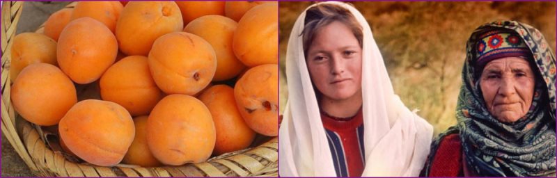 produktyi-pitaniya-soderzhashhie-estrogenyi