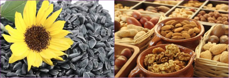 produktyi-pitaniya-soderzhashhie-estrogenyi