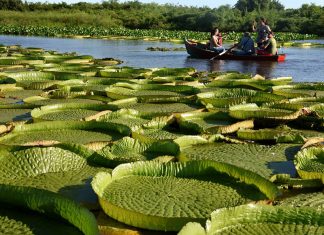 Отдых в Парагвае