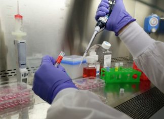 В Японии выявили 15 новых случаев заражения омикрон-штаммом