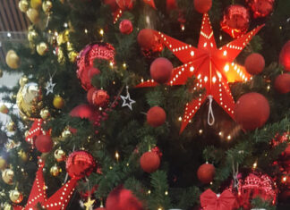 Кинолог для маленьких собак в Казани: выбор и обучение